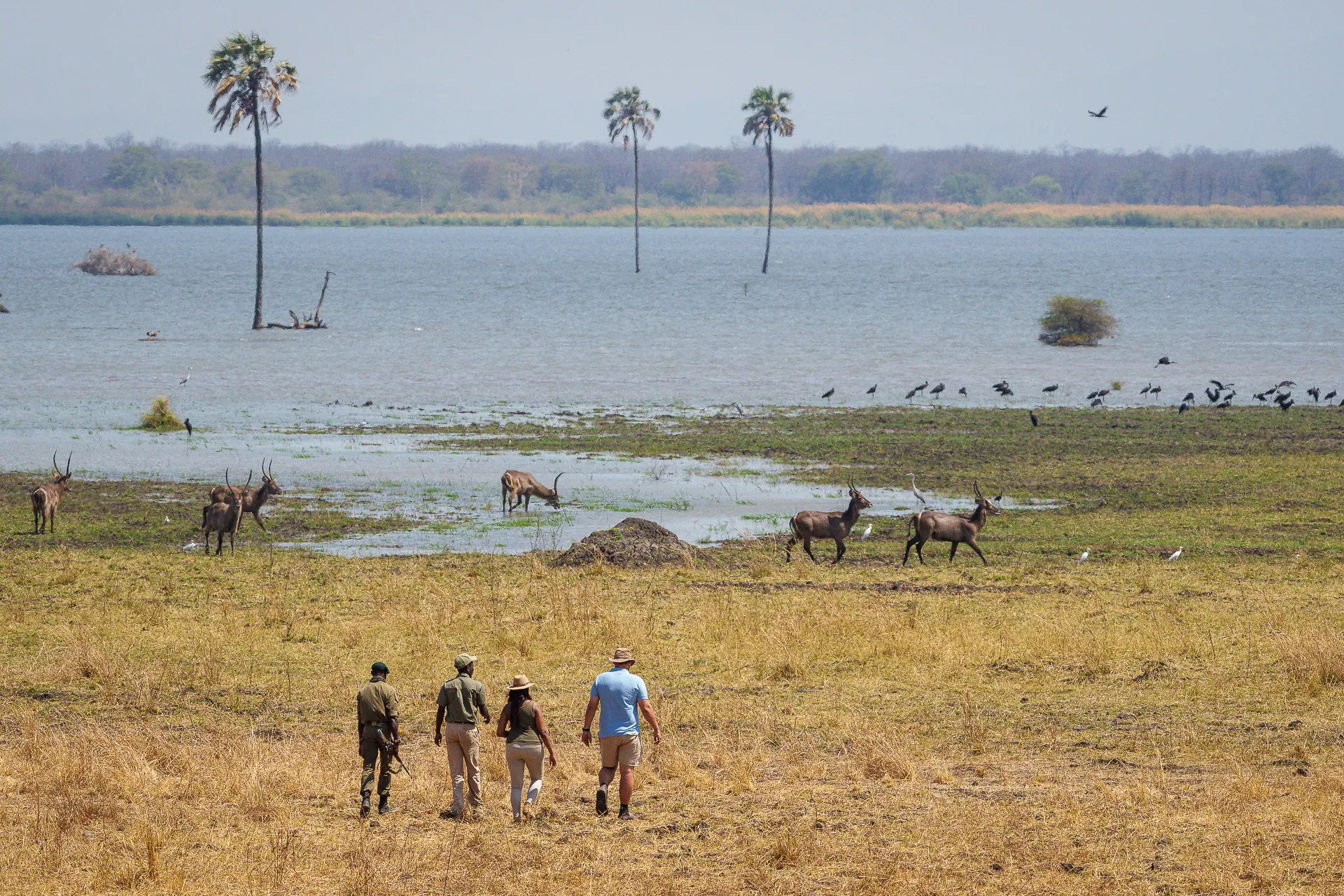 Family and Group Tours